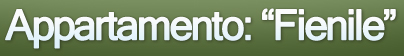 Appartamento: fienile
