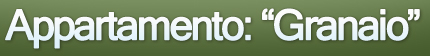 Appartamento: granaio