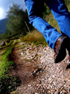 Trekking